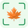Plant Identifier: LeafIQ