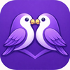 Love Birds - Daily Activites