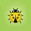 LadyBug Insect: Bug Identifier