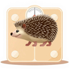 Hedgehog Scale - Pet Weight