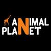 Animal Planet