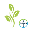 Culti-Bayer