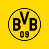 BVB NLZ