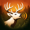 Hunting Calls - Deer & Coyote