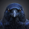 Wild Crow Bird Simulator