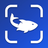 Fish Identifier App & Scanner