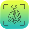 Bugster: Bug Identifier