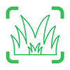 Grass Identifier: Scan AI