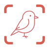 Bird Identifier: Scan AI