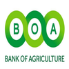Bank Of Agriculture
