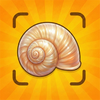 Sea Shell Identifier: Sea Lens