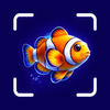 Fish Scanner: Identify & Care
