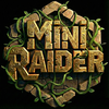 Mini Raider