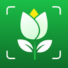 Leafy: Plant Identifier