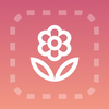 Flower AI Identifier and Learn