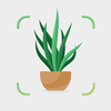 Plant ID: Plant Identifier AI