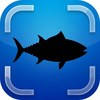 Fish Identifier - Scanner ID