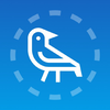 Bird Cam: AI Bird Identifier
