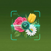 Flower Identifier | Plant Care