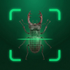 Bug Identifier - Insect Scan