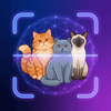 Identify Cat: Breed Detector