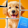 Jigsaw Solitaire: Card Puzzle