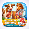 Veterinär Anatomie Nutztiere