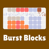 Burst Blocks