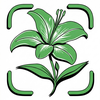 Plant Identifier: Plantify