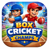 Boxcricket Champs