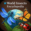World Insects Encyclopedia
