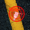 Roadkill Radar