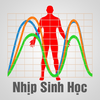Nhịp Sinh Học