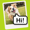 Speech Bubble Maker: Pic Talk