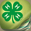 4-H Livestock Record