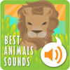 The Best Animal Sounds