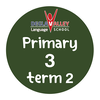 English Primary 3 Term 2 v2