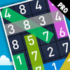 Hidden Numbers PRO