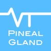 Pineal Gland