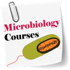 Microbiology course