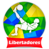 Futebol Libertadores 2025