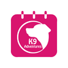 K9adventures
