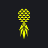 Pineapple Lifestyle