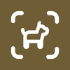Dog Identifier - Dogby