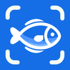 Fish Identifier - Fishby