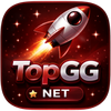 TopGG NET