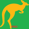 Aussie slang quiz-pro