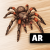ARSpiders.com: Spider Prank