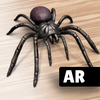 ARSpiders.com: Spider on Face