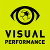 Visual Performance
